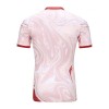 Camiseta de fútbol AC Fiorentina Cuarta Equipación 23-24 - Hombre